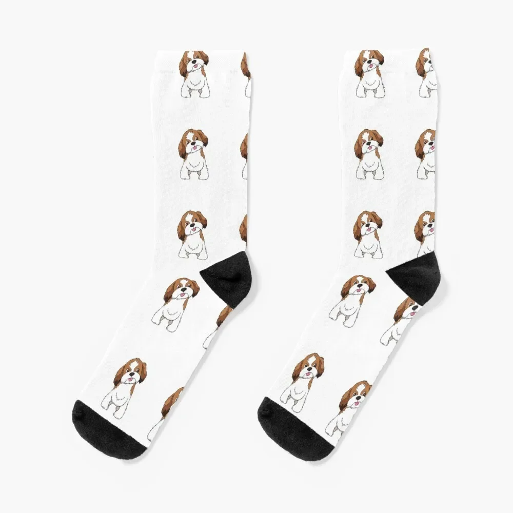 

Shih Tzu Socks valentine gift ideas loose warm winter Men Socks Women's