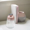 Hot Sale Glass Vase Nordic Electroplated Gold Vase Glass Flower Vases for Home Decor Dried Flower Bottle Bar Decoration 4