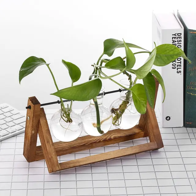 Otthoni Dekoráció Ültetvényes Vintage Bonsai Virág Edény Hidroponikus Növény Vázák Üveg Váza Fa Keret - Image 6