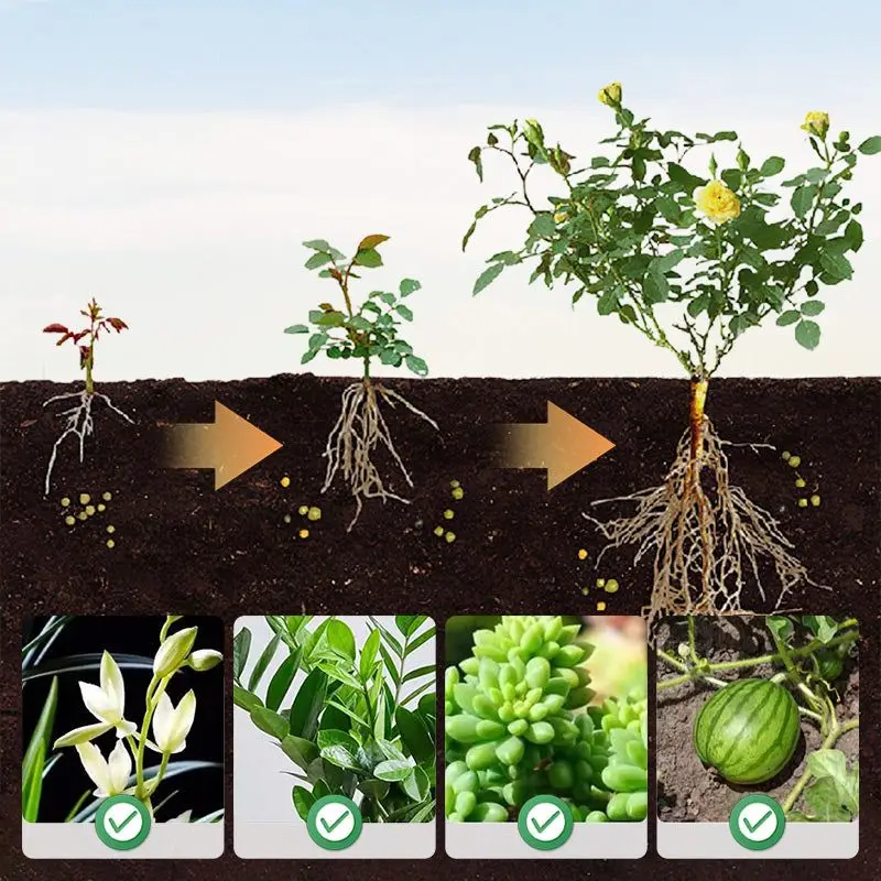Universal Plants Nutrient Granules Controlled Release Fertilizer Potted Plants