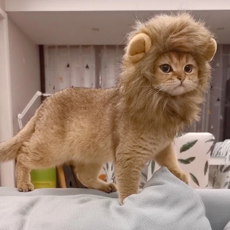 Cute Lion Mane Cat Wig Hat for Kitten Puppy Pet Cat Decor Accessories Lion  Headgear Fancy Hair Cap Cat Accessories Pet Supplies| | - AliExpress