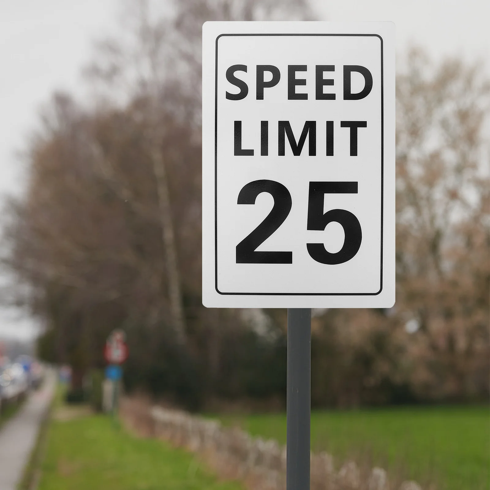 Рисунок 3 - Ограничение скорости 25 миль/ч