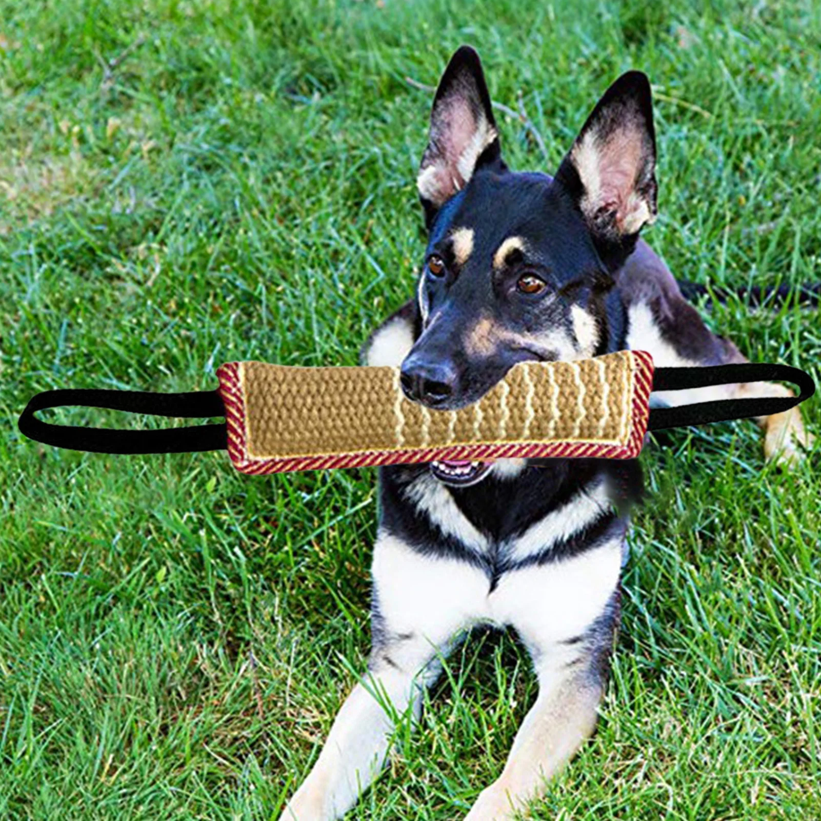 Pet Dog Chew Tug Toys Dogs Teether Bite Pillow Interactive Dogs Rope Toys Safe Teeth Cleaning Chewing Toy Pets Training Supplies 5