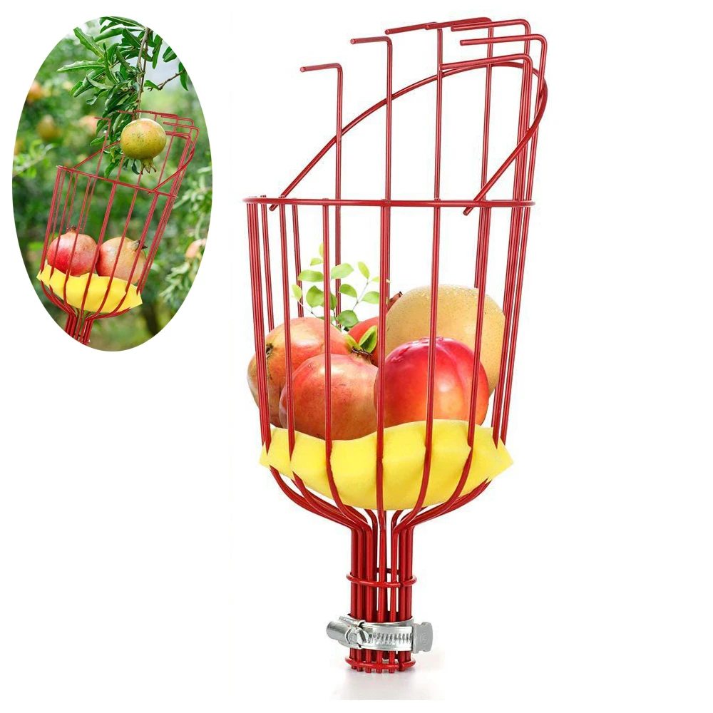 Stainless Steel Fruit Picker Head Without Pole Metal/Plastic Fruit Collector Harvest Picking Apple Citrus Pear Garden Hand Tools