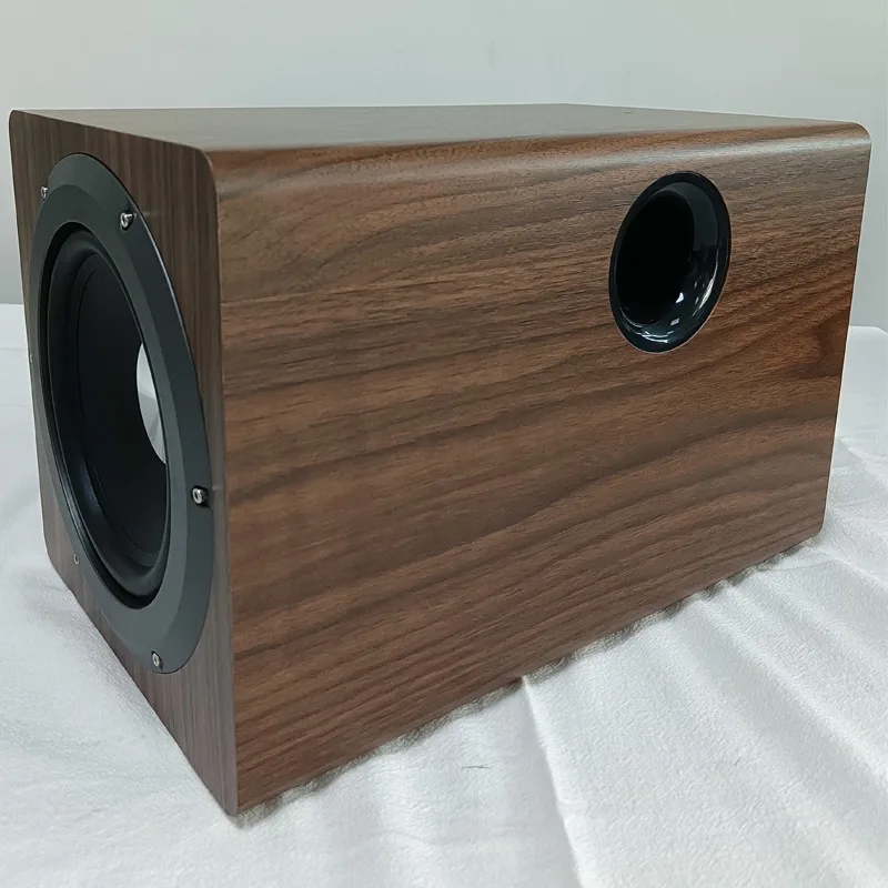 Woofer Speaker Ibass 100W 6.5-inch Active Subwoofer Home Theater Audio System