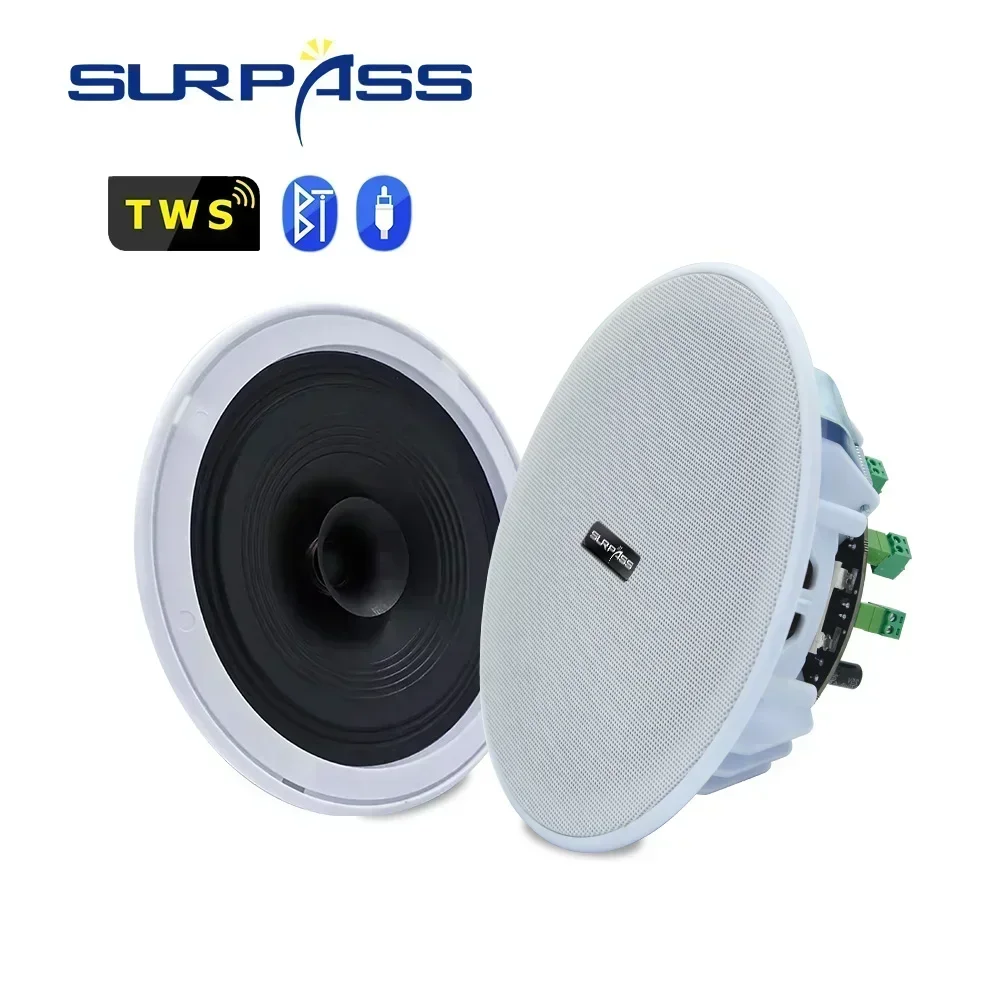 Bluetooth Wall Ceiling Speaker 10W 6inch Dustproof Home Theater Amplifier System For Kitchen Bedroom