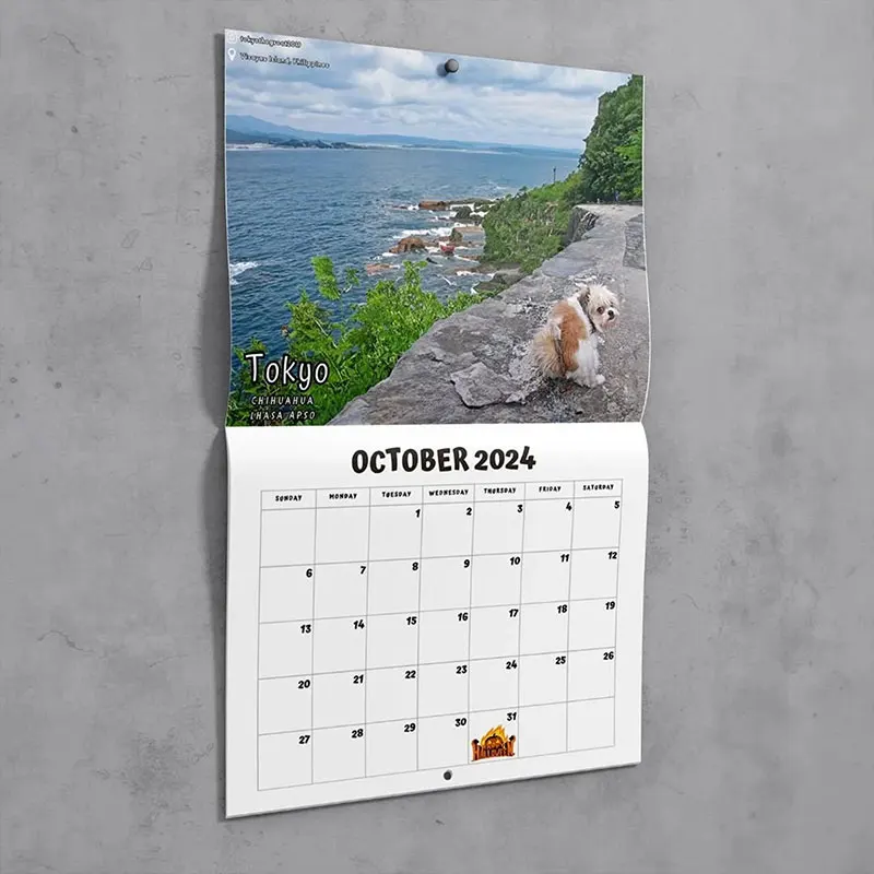 Funny Dog Pooping Wall Calendar Gift for Friends Family Neighbors Coworkers Relatives Loved Ones wall calendar