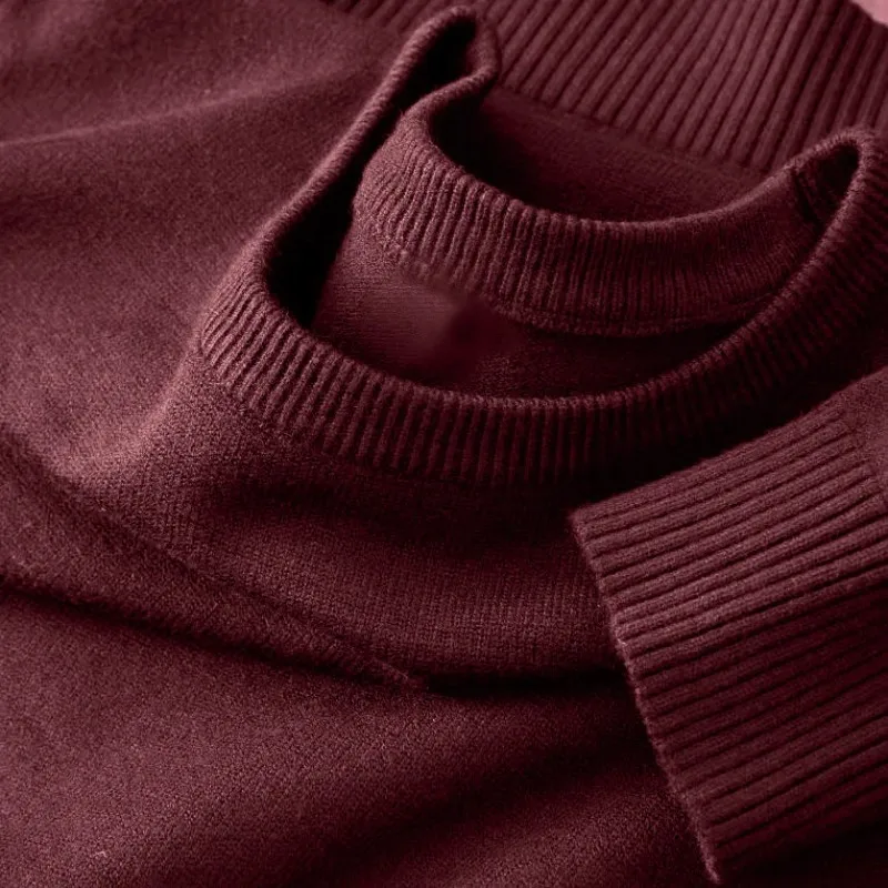 Animal Game Women's Long Sleeve Knitwear Pullover Sweater Classic Crewneck Casual Sweaters Lightweight Solid Color Sweater Women