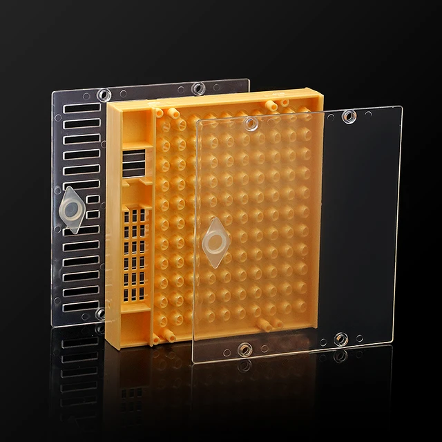 Méhészet Queen Tenyésztő Cella Pohár Doboz Készlet Műanyag Méhsejt Ketrec Izolációs Apikulturális Berendezések Kiegészítők - Image 3