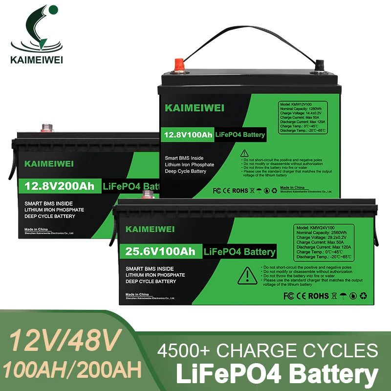 Lifepo4 Battery Pack 12v 24v 100ah 200ah Builtin Bms Lithium Iron