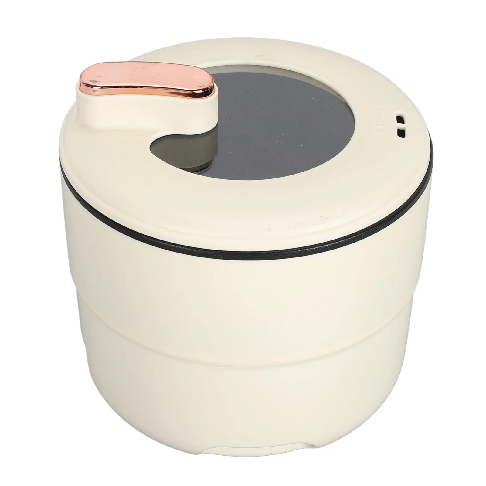 Electric Cooking Pot Electric Rice Cooker Anti Scald Multifunctional Anti Stick Coating Double Layers for Noodles