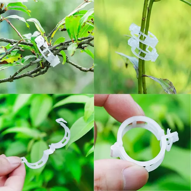 50-100 Százalékos Növényi Támogató Klipek Kerti Szőlő Paradicsom Zöldségek Növények Rácsos Zöldségekhez - Image 4