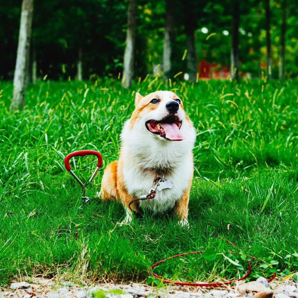 Dog Spike Durable Ergonomic Handle Thick Heavy Duty Spiral Ground Spike Backyard Play