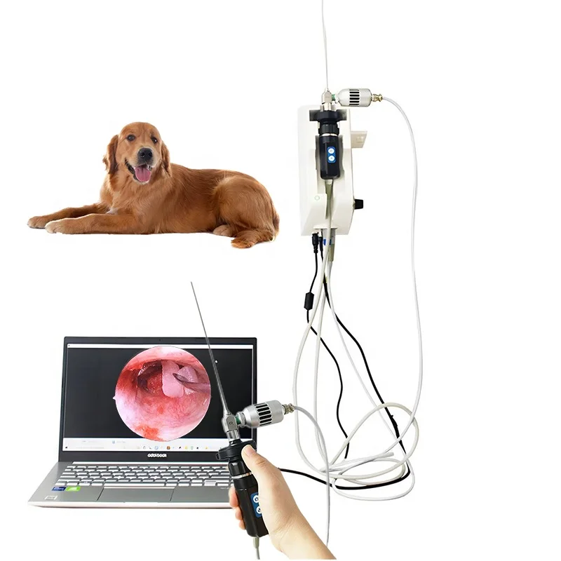 

Animal Dog Medical Veterinary Operation ENT Otoscope Ear Endoscope Camera System Video Laryngoscope For Pets Hospital