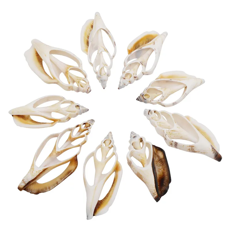 

Julie Wang 2PCS Natural Hollow Conch Charms Seashell Beach Conch Slices Decor Embellishment Handmade Jewelry Making Accessory