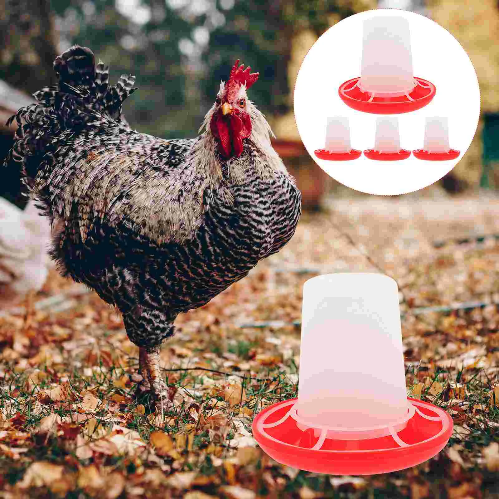 4 Pcs Chick Feeder and Waterer Kit Automatic Chicken Tools Ducks Baby Food Container Hen
