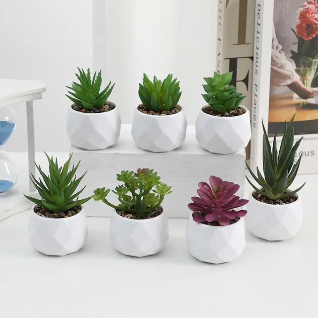 Artificial Succulent Bonsai Plants Simulation Succulents Mini Evergreen Bonsai Cactus Succulent Plastic Fake Plants Decor 2