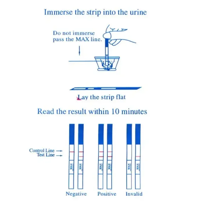 Pregnancy Test Pregnancy Test Strips Ovulation Test Strips 20Pcs Urine Test
