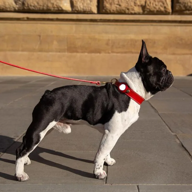 Dog Collar - Premium Leather