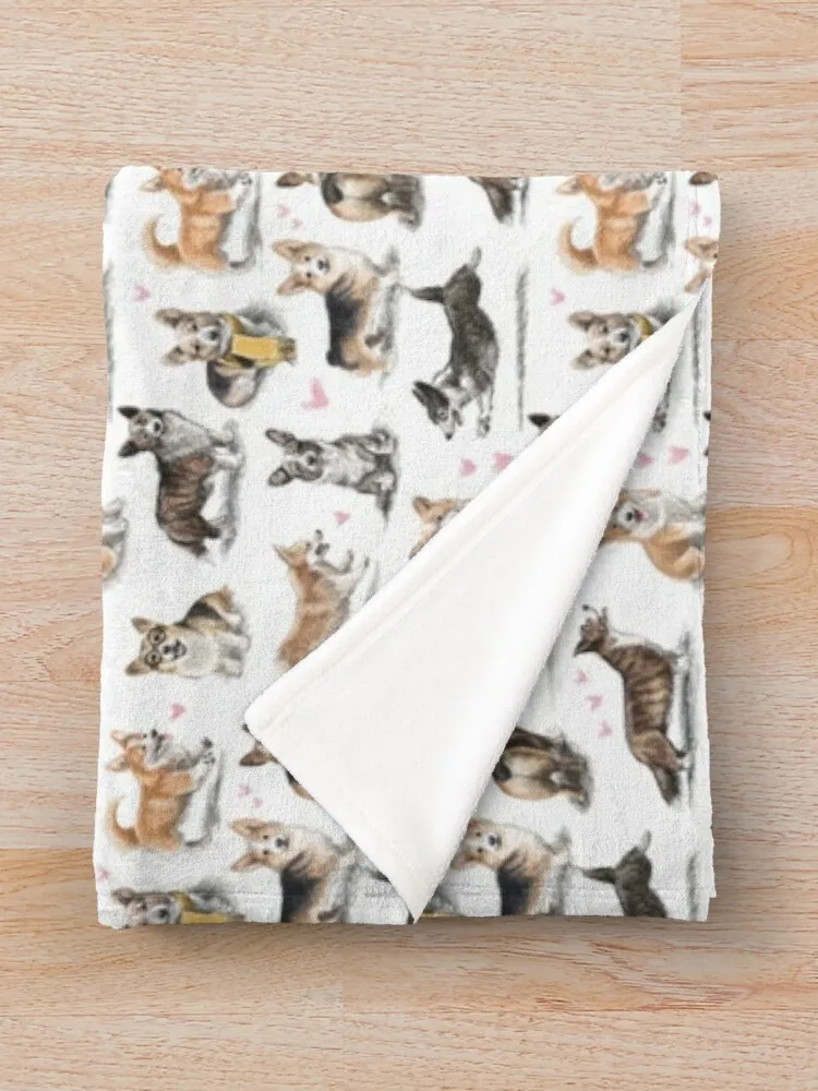 Corgi-���� �ö��� ���� ���, ������ ���