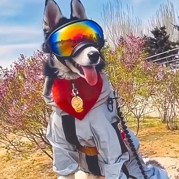 Dog Ski Goggles 1