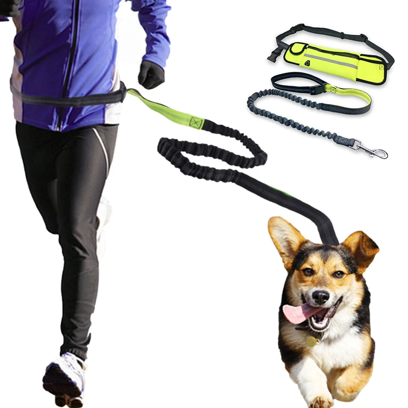 Correa con cinturón para perro, correa para correr, trotar, mascotas, arnés elástico para perros, Collar de cintura ajustable, correas para manos libres| | - AliExpress