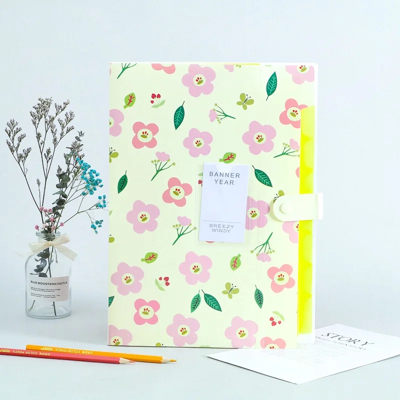 Colorful 5-Layer A4 Document Organizer for School, Office, and Stationery Supplies