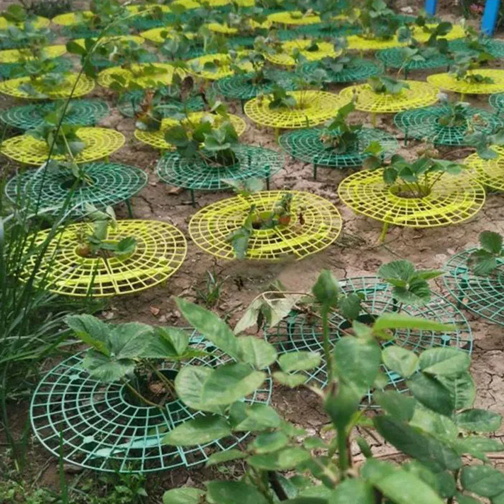 5/10/15 Pcs Strawberry Stand Frame Holder Balcony Planting Rack Fruit Support Plant Flower Climbing Vine Pillar Stand