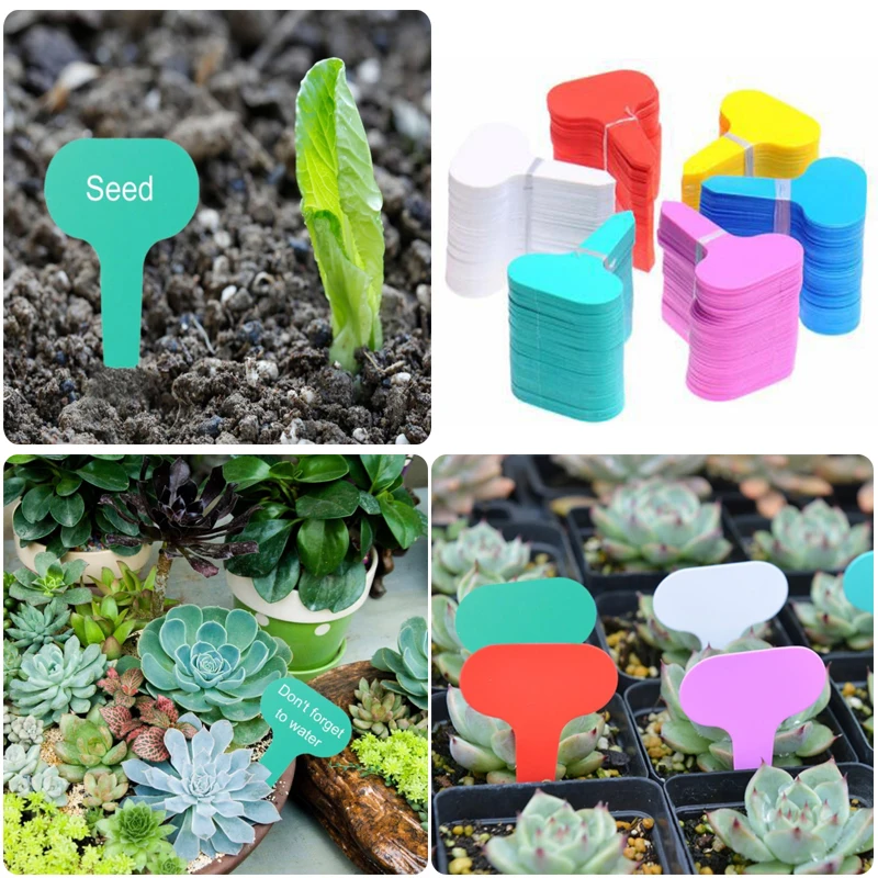 200 Etichette Per Piante Da Giardino In Plastica + Penna Permanente - Riutilizzabili - Cartellini Per Aiuole E Orto - Identifica Le Tue Piante - 2