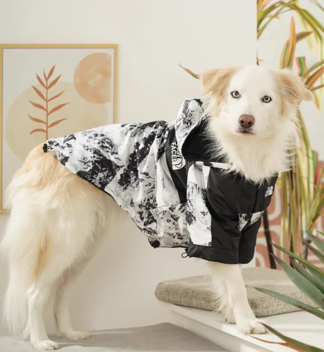 Dog jacket Windproof waterproof raincoat