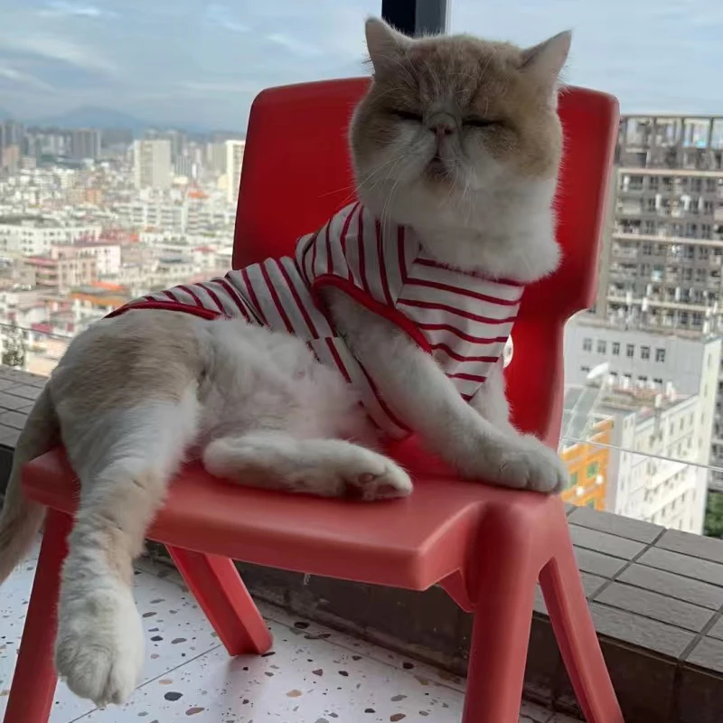 Summer Sphynx Cat Vest Shirt Stripe Pet Sleeveless Clothes for