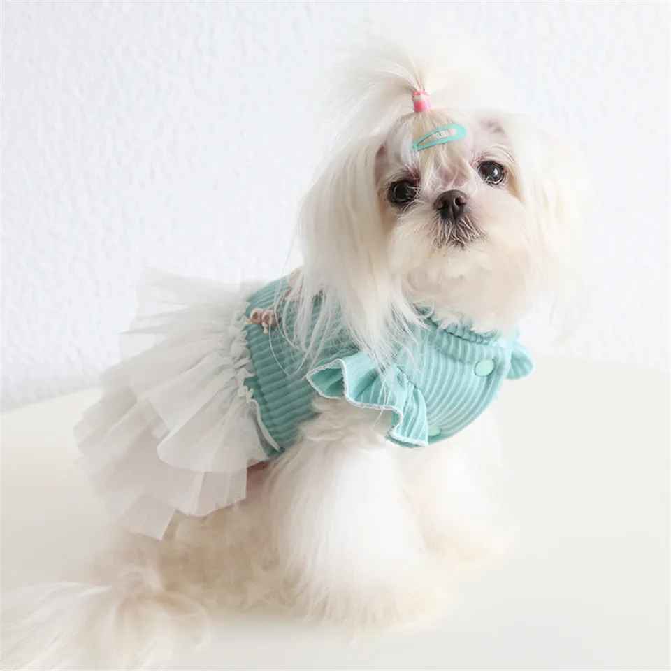 dog dress