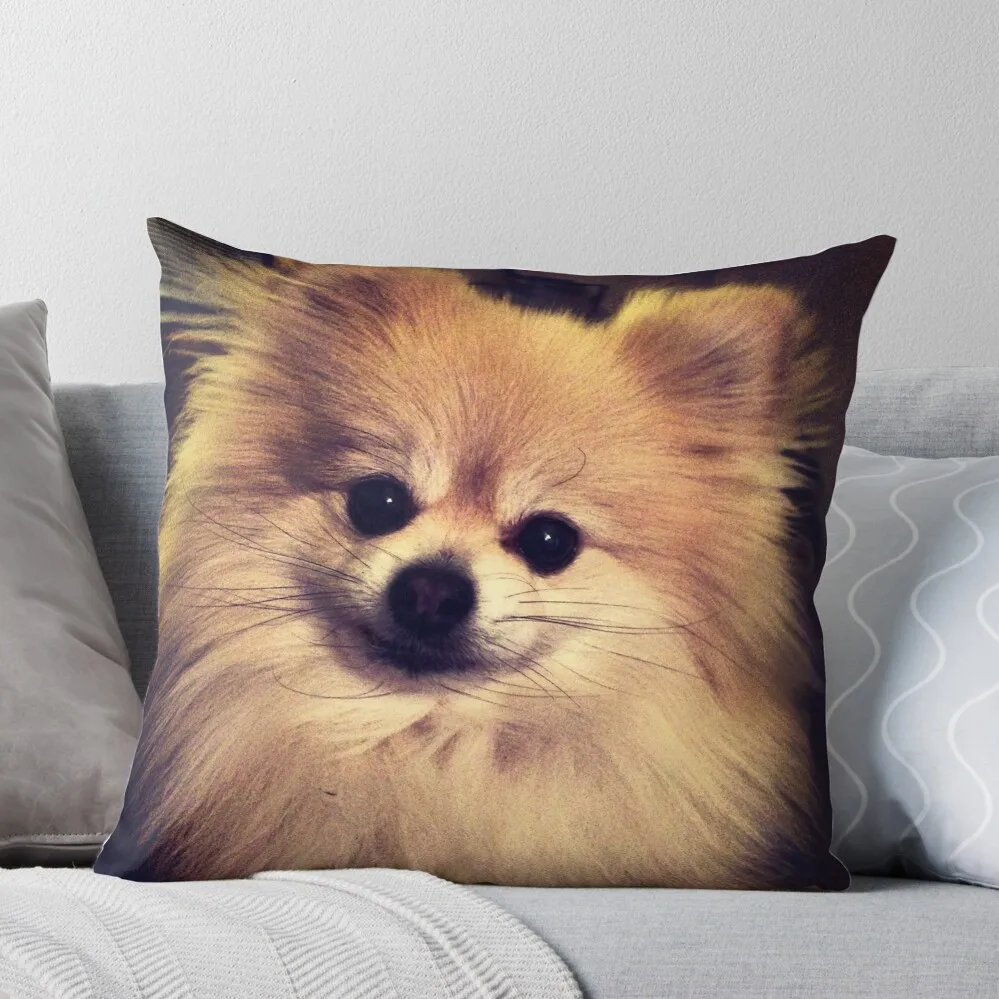 

Pomeranian Throw Pillow bed pillows Cushions Home Decor Ornamental Pillow