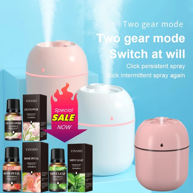 Portable Mini Ultrasonic Humidifier USB Essential Oil Fogger Diffuser Indoor Mute Fogger Mist Maker Home Fragrance Accessories
