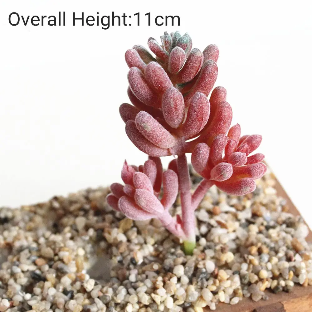 Mini Artificial Red Flocking Succulent Plant for Home and Office Decor
