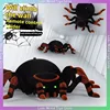 Remote Control Spider Simulation Land Climbing Wall Dual Mode Fun Bionic Climbing Crawling Walk Electric Remote Control Toy 1