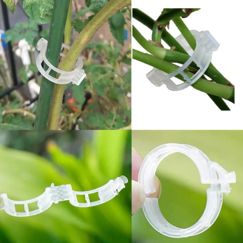 

50Pcs Plastic Plant Support Clips Reusable Protection Grafting Fixing Tool Gardening Supplies Connects for Vegetable Tomato