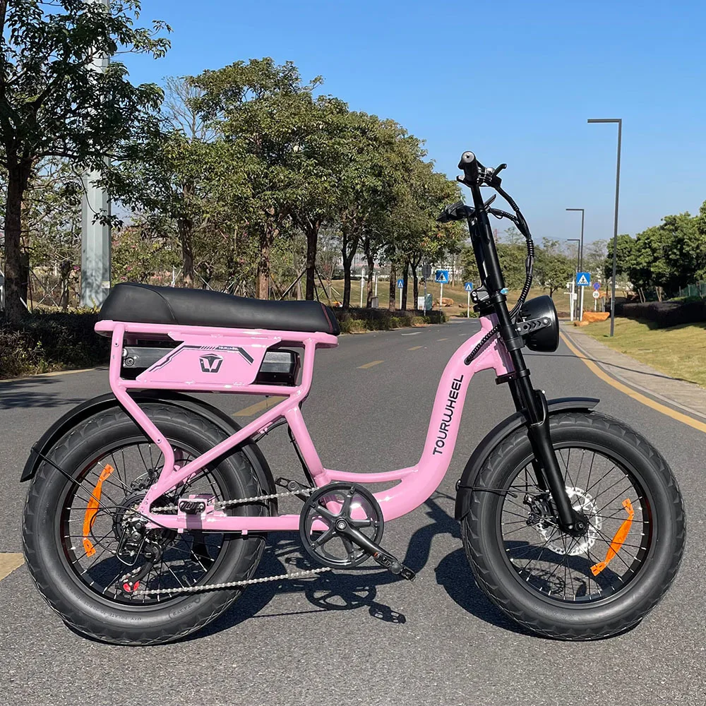 Ebike 20Inch 48V Full Suspension 500W Lithium Battery Fat Tire 25KM/H Mountain Motorcycl Electric Bicycle with LCD display