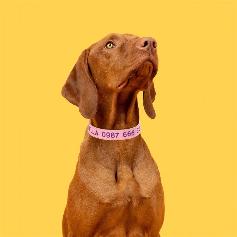 Leather Dog Collar With Name Embroidery Small Dog Collar Personalized Name For Large Breed Dogs