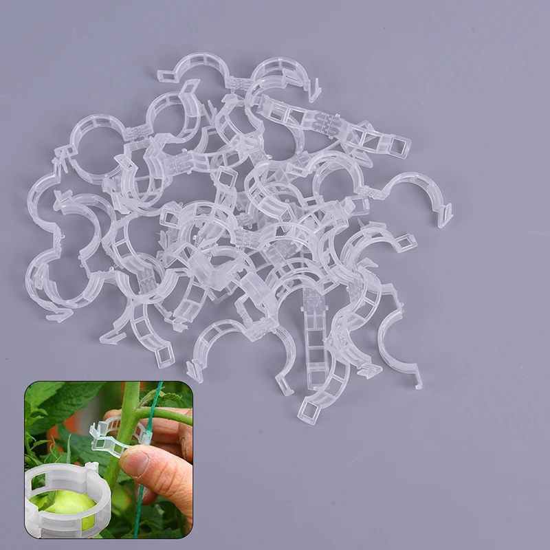 

100pcs Reusable Plastic Plant Support Clips Clamps For Plants Hanging Vine Garden Greenhouse Vegetables Tomatoes Clips