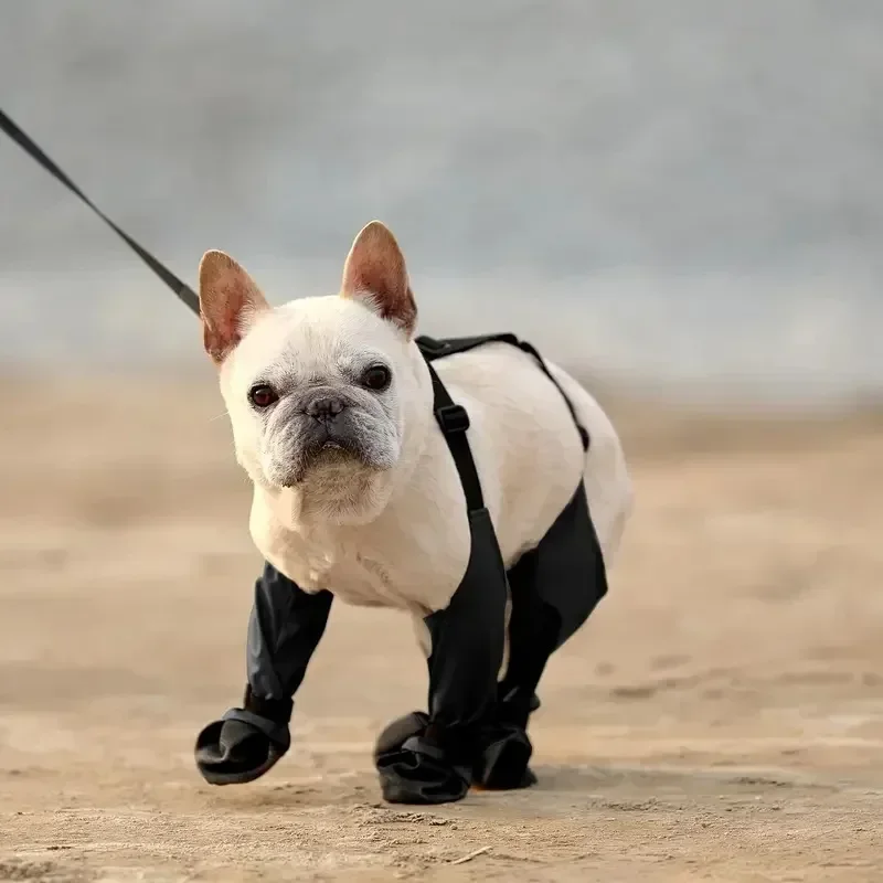 Zapatos impermeables para perro, botas ajustables para el día de la lluvia, transpirables, suaves, para caminar al aire libre, Bulldog francés