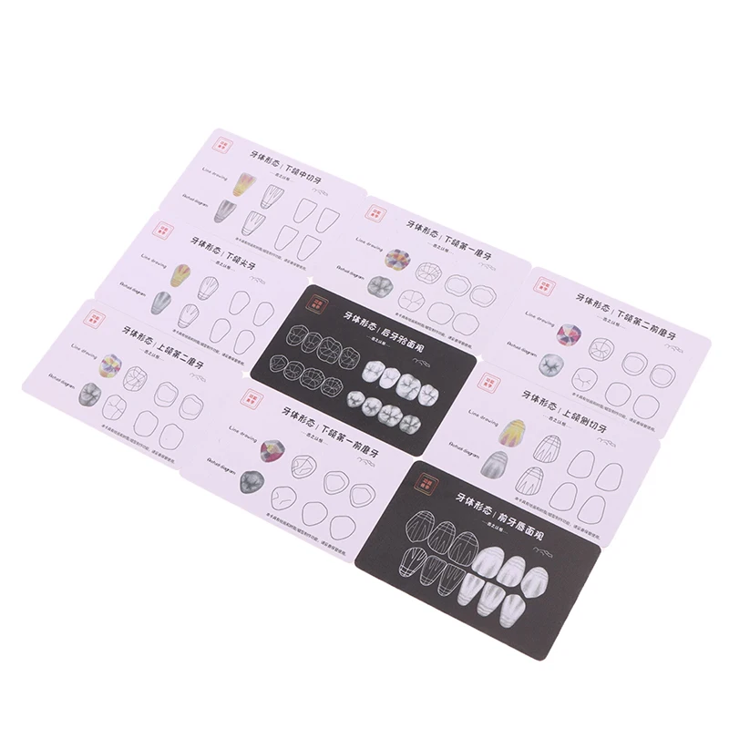 레진 치과용 복합 레진 필링 연습 보드 모델 치아 템플릿 복원 치실 치과의사 전치부 후치부 연습용 스택