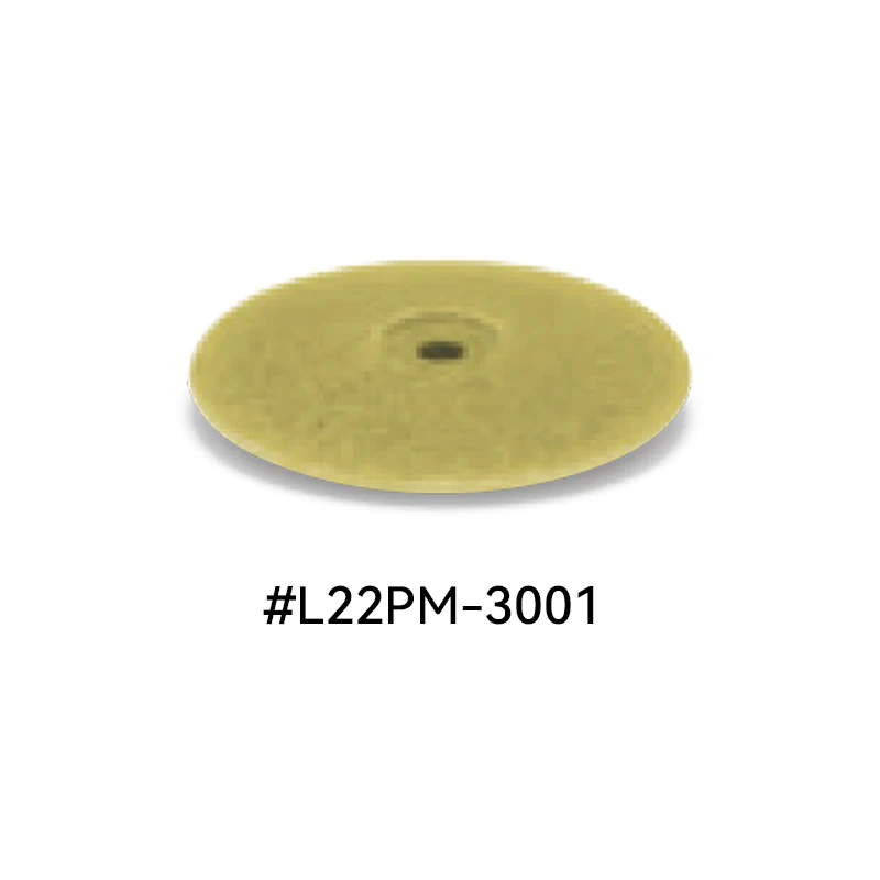EVE Pumice Wheel Polisher Set - High Luster Jewelry & Stone Finishing Tool (10 Pieces)