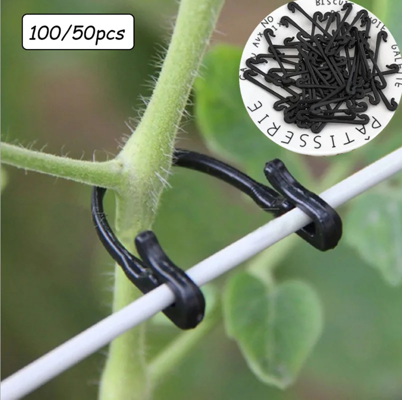 100/50Pcs Plastic Plant Fixing Clips Buckle Hook Supports Connect Reusable Protection Grafting Fixing Tool Gardening Supplies
