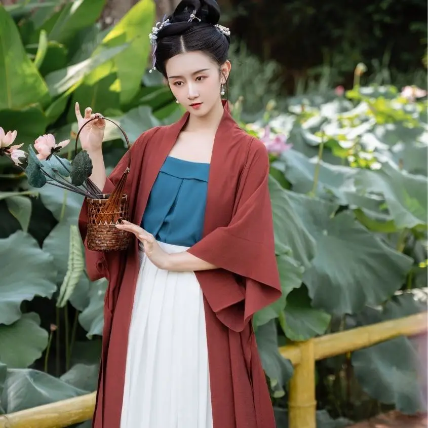 

Elegant Chinese Style Hanfu Female Song Dynasty Hanfu Jacket Women Song Made Hnafu Summer Chinese Ancient Coat Cosplay