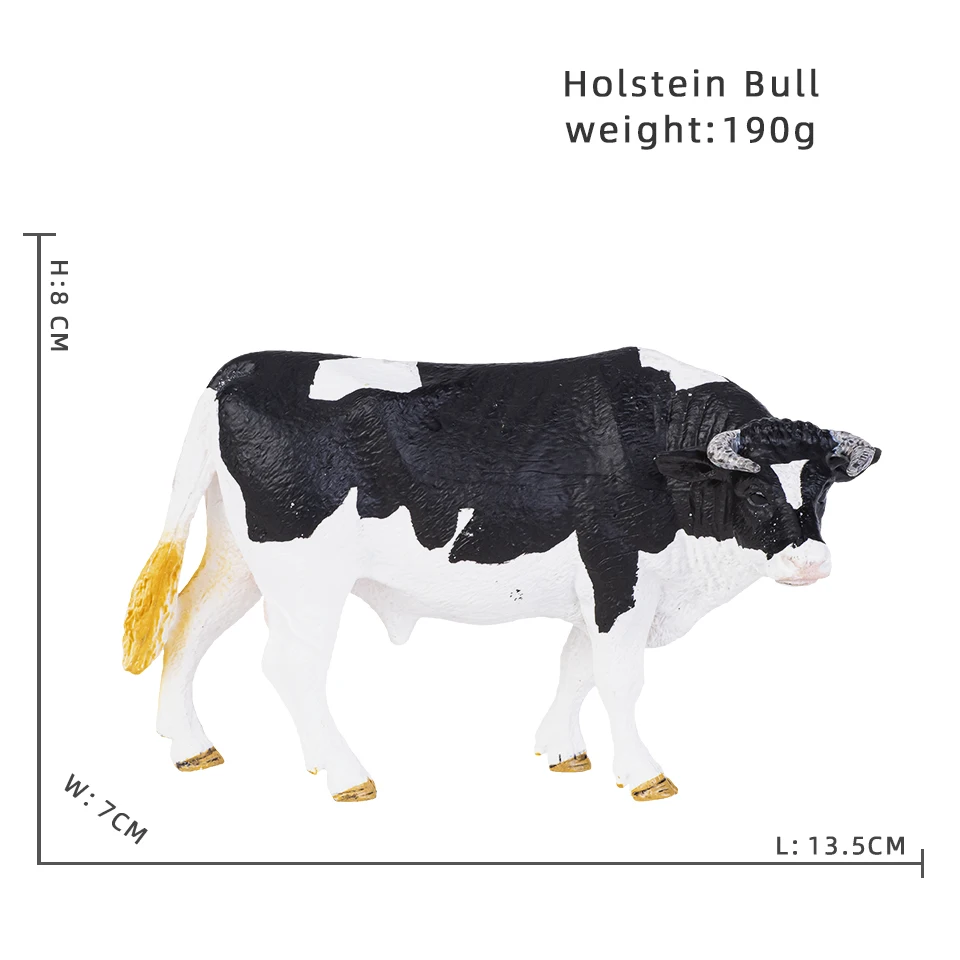 Holstein Bull 2