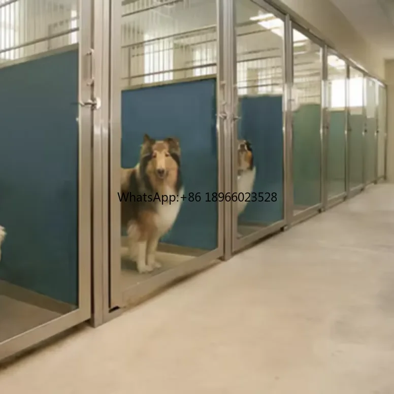 Customized High Tempered Glasses dog kennel runs outdoor indoor - Main Image