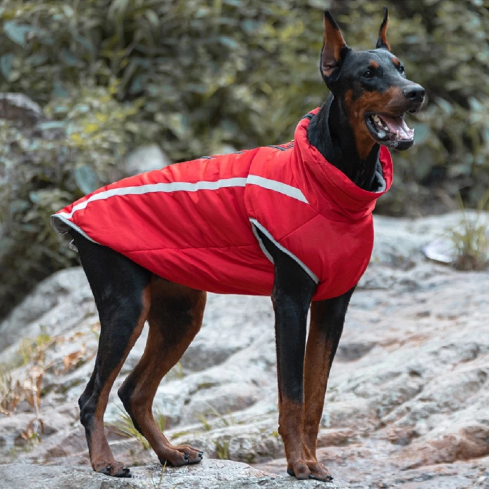 Abrigo grueso cálido de lana reflectante chaqueta impermeable a prueba de viento para perros medianos y grandes, Weimaraner, Doberman, Pastor Alemán|Abrigos y chaquetas para perro| - AliExpress
