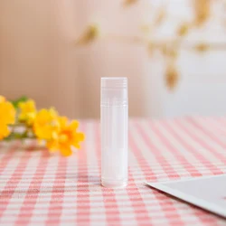Set of 10 Refillable Clear Cosmetic Containers - 5ml Lipstick & Lip Balm Tubes (5g Transparent)