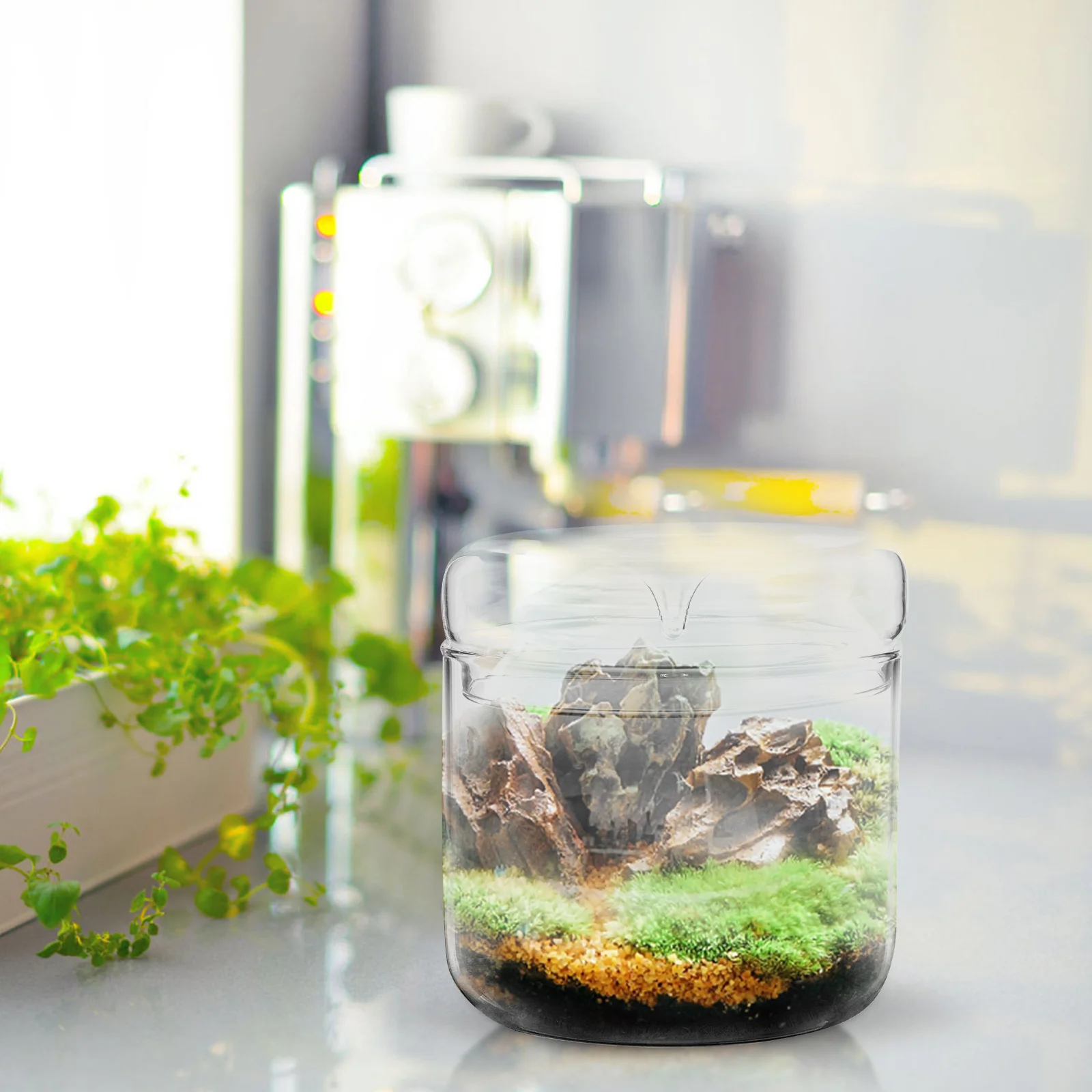 Glass Terrarium Mini Landscape Ecosystem Moss Plant Vase Bottle Planter Container Decor Home Office Garden Patios Creative Gifts 5